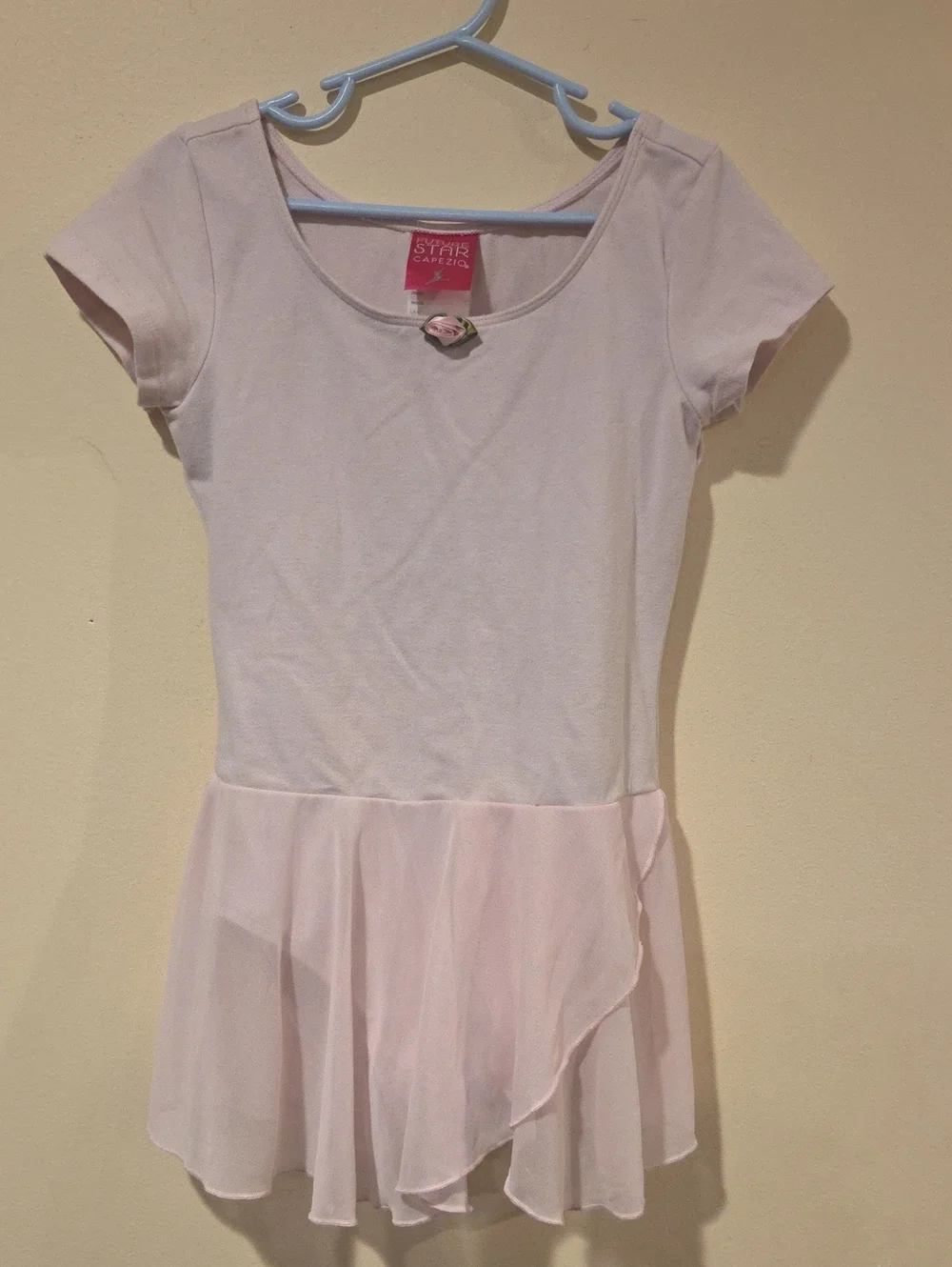 Capezio Pale Pink Girls' Ballet Dress with Chiffon Skirt